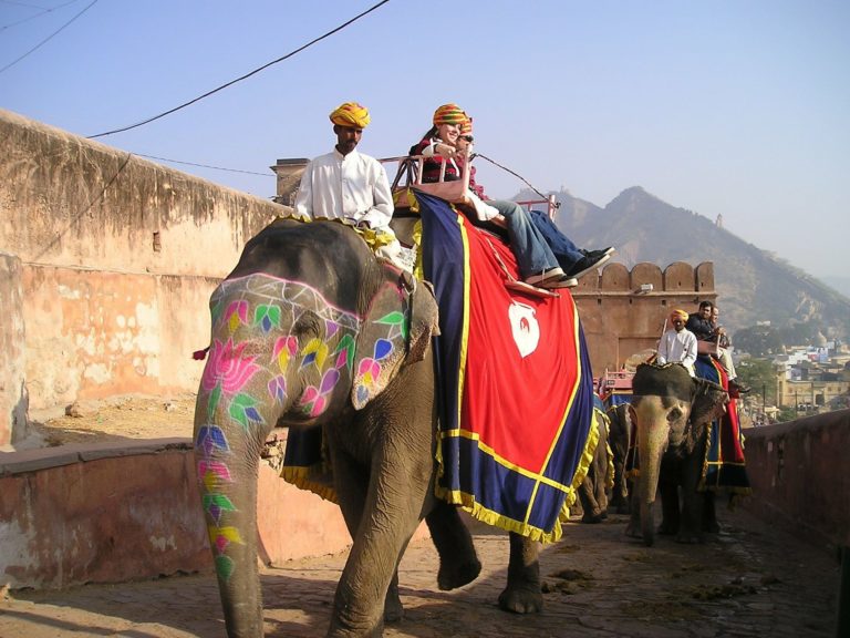 רכיבה על פילים הודו